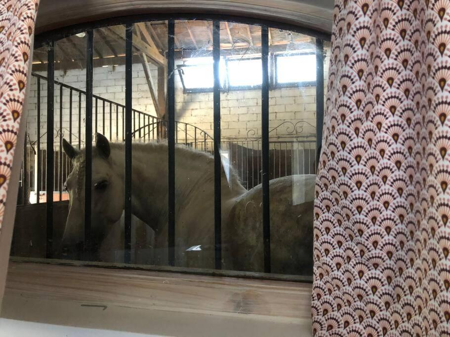 Logement Insolite Au Coeur D'Une Ecurie Arles Kültér fotó